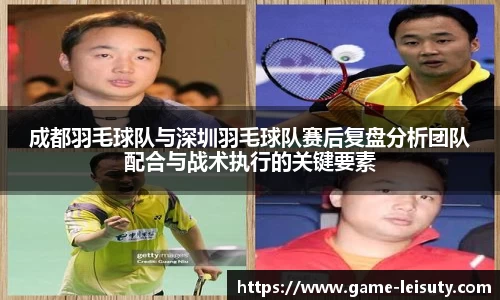 成都羽毛球队与深圳羽毛球队赛后复盘分析团队配合与战术执行的关键要素